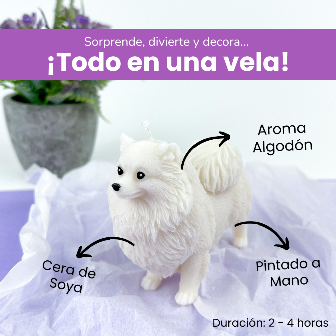 Vela Pomerania 2
