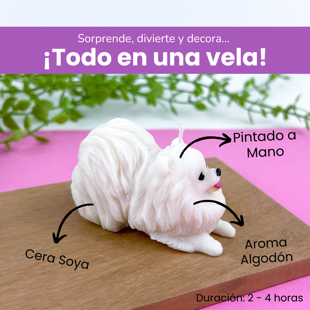 Vela Pomerania
