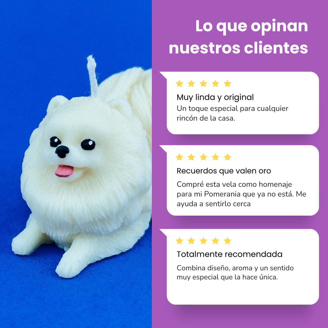 Vela Pomerania