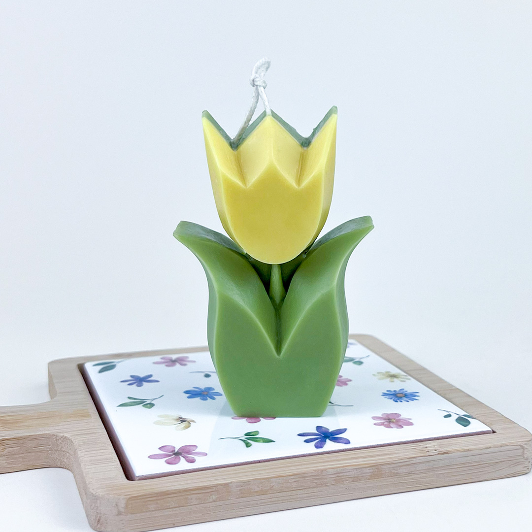 Vela Tulipán