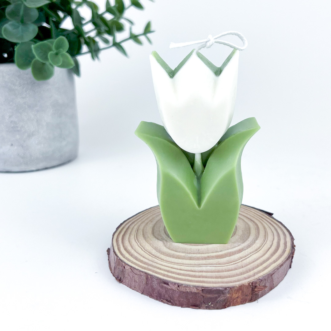 Vela Tulipán