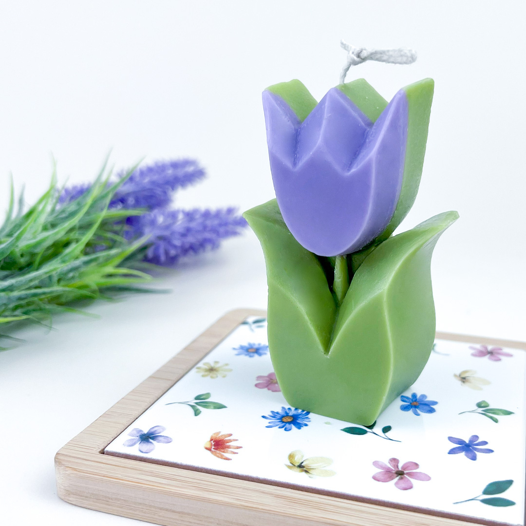 Vela Tulipán