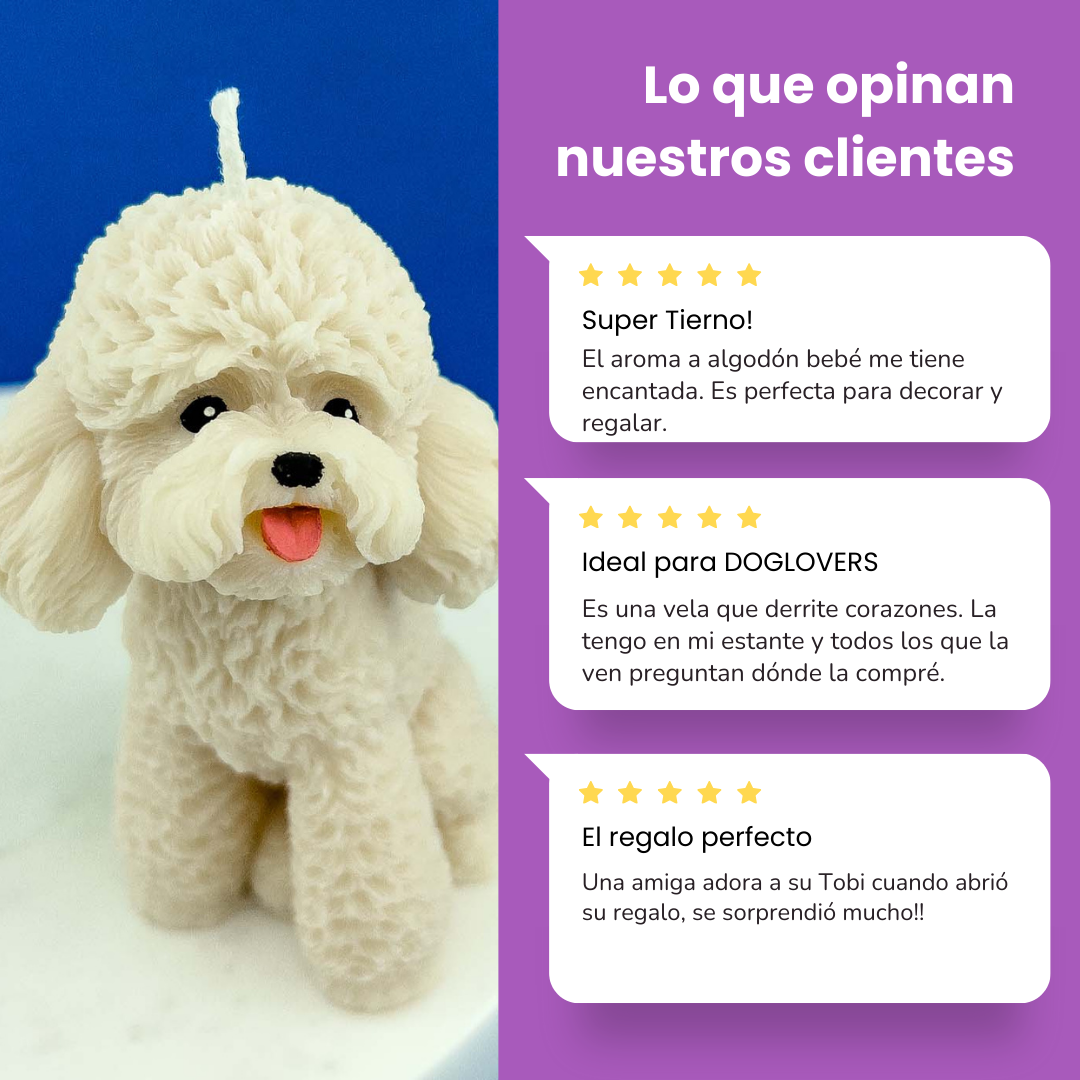 Vela Poodle