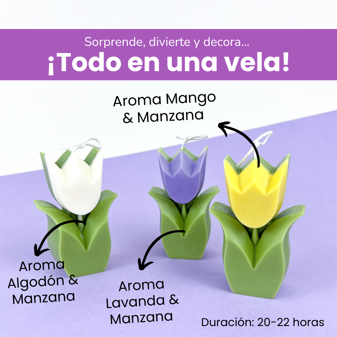Vela Tulipán