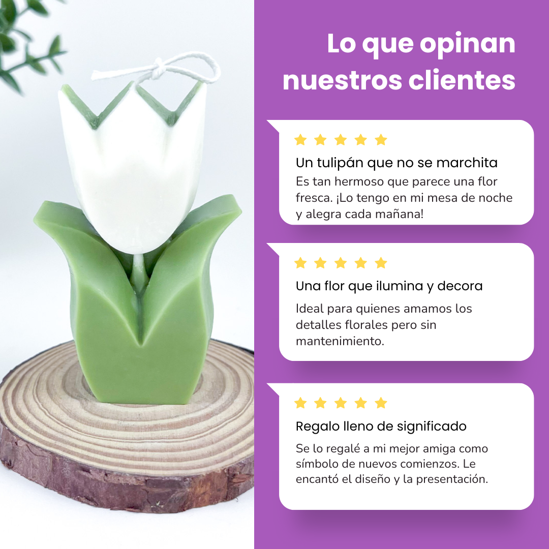 Vela Tulipán