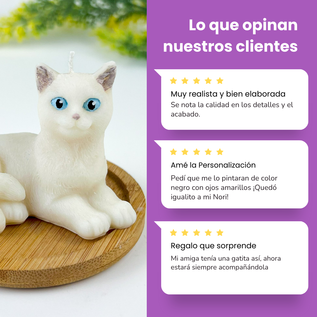 Vela Gato Acostado