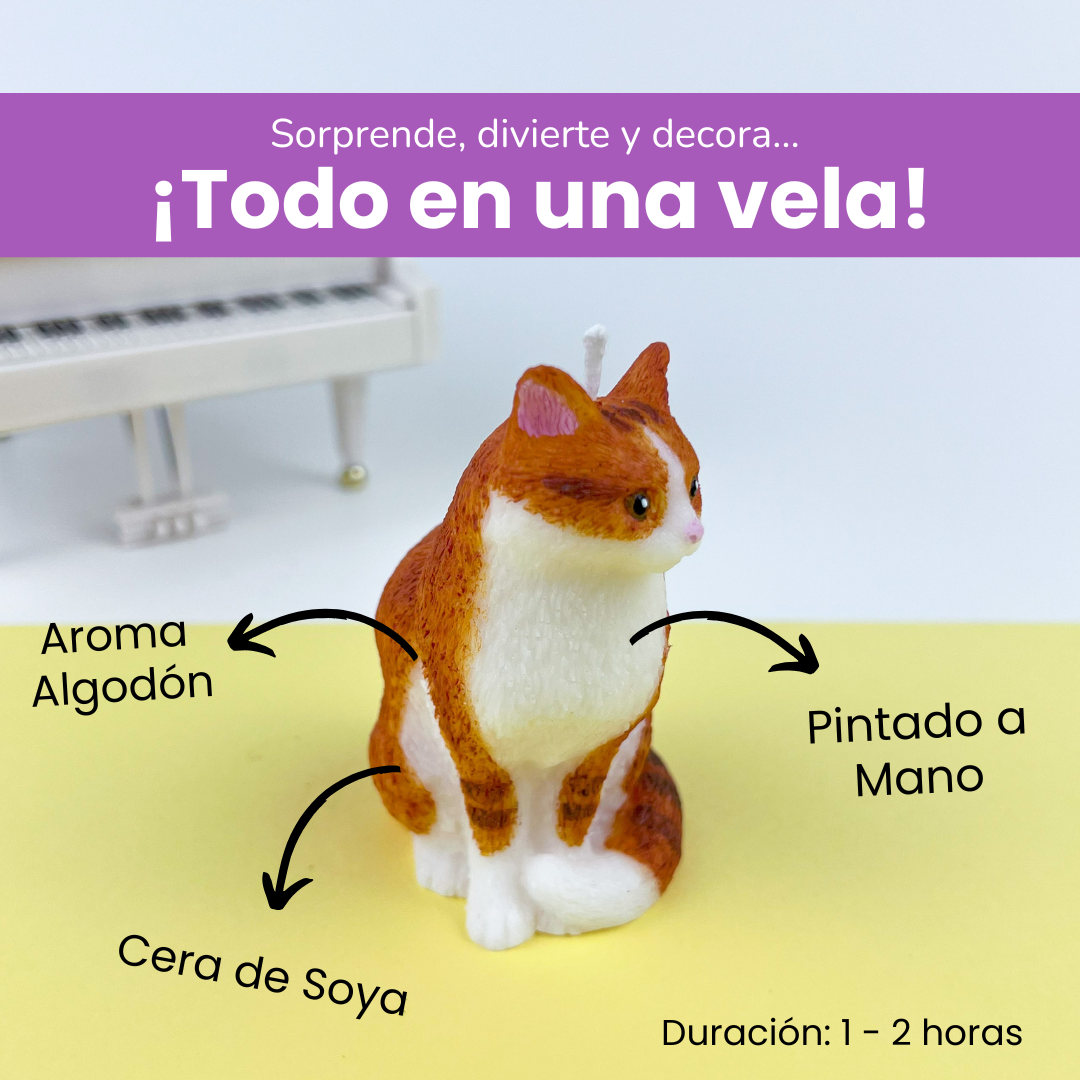Vela Gato