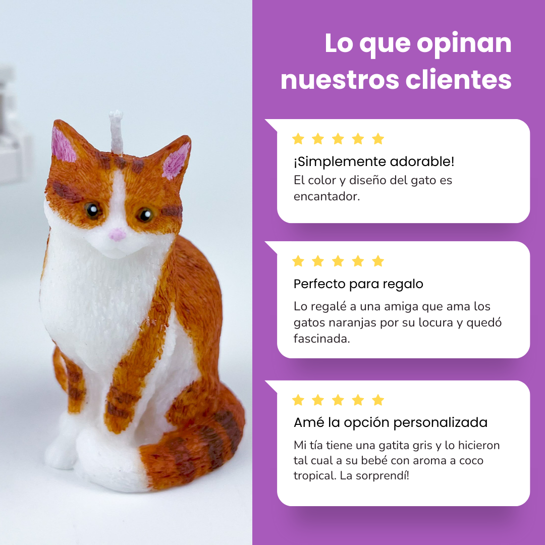 Vela Gato