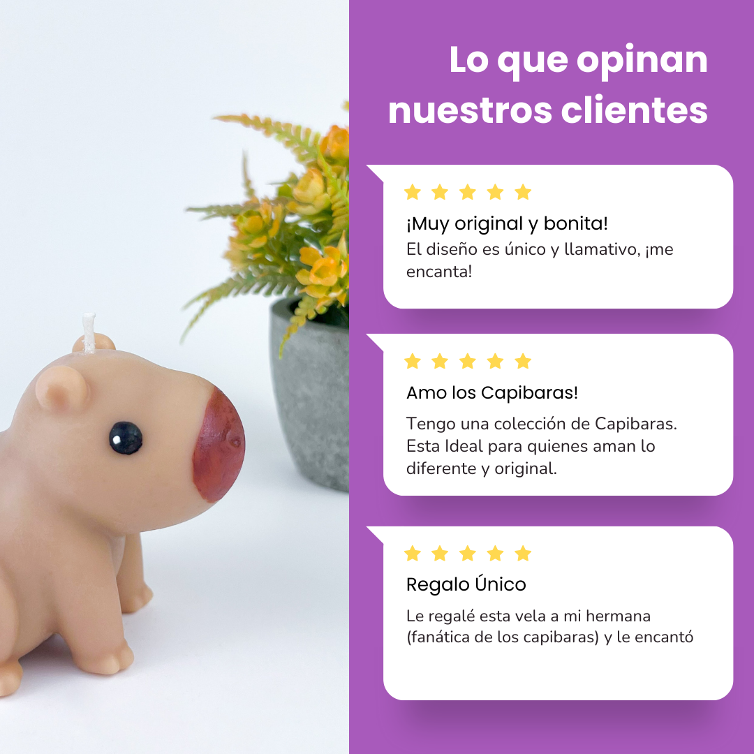 Vela Capibara