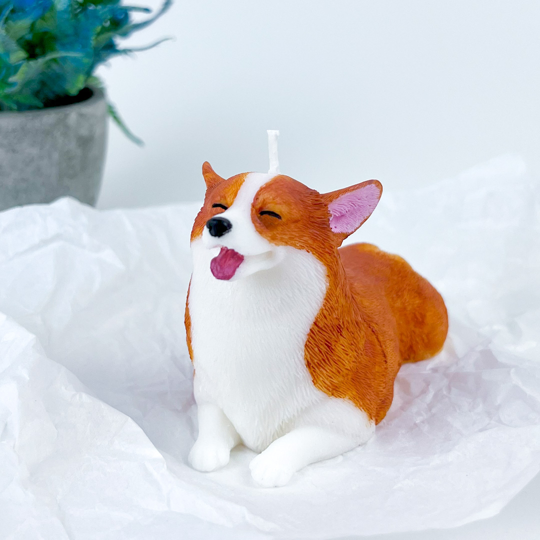 Vela Corgi