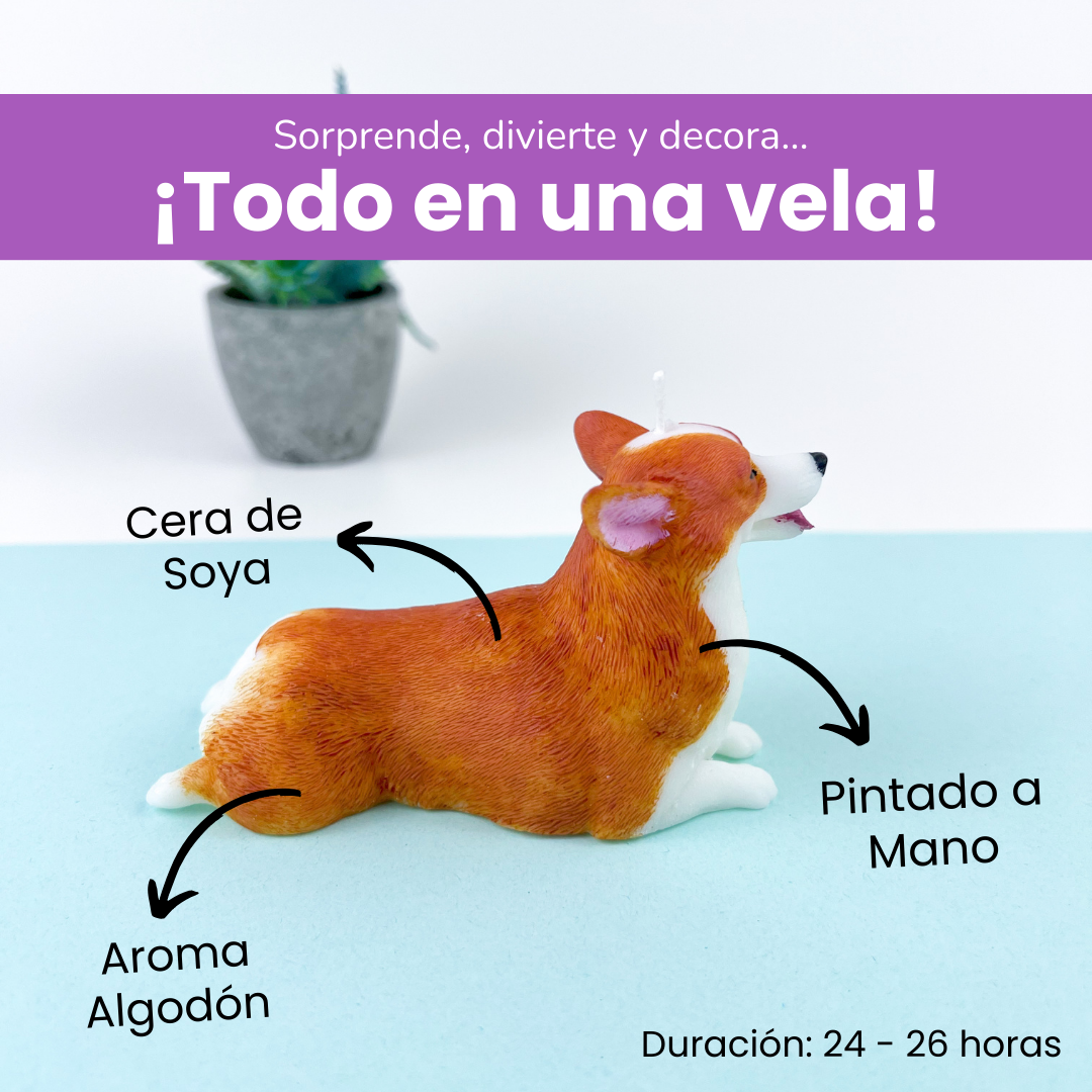 Vela Corgi