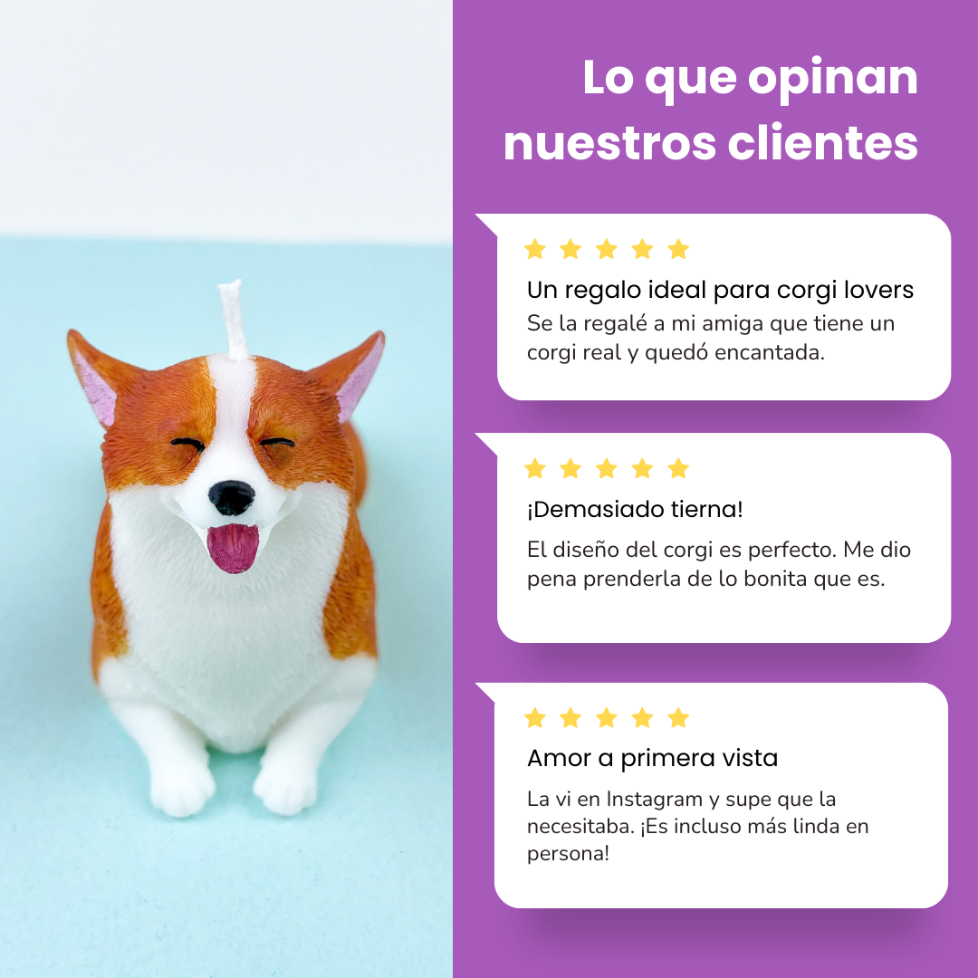 Vela Corgi