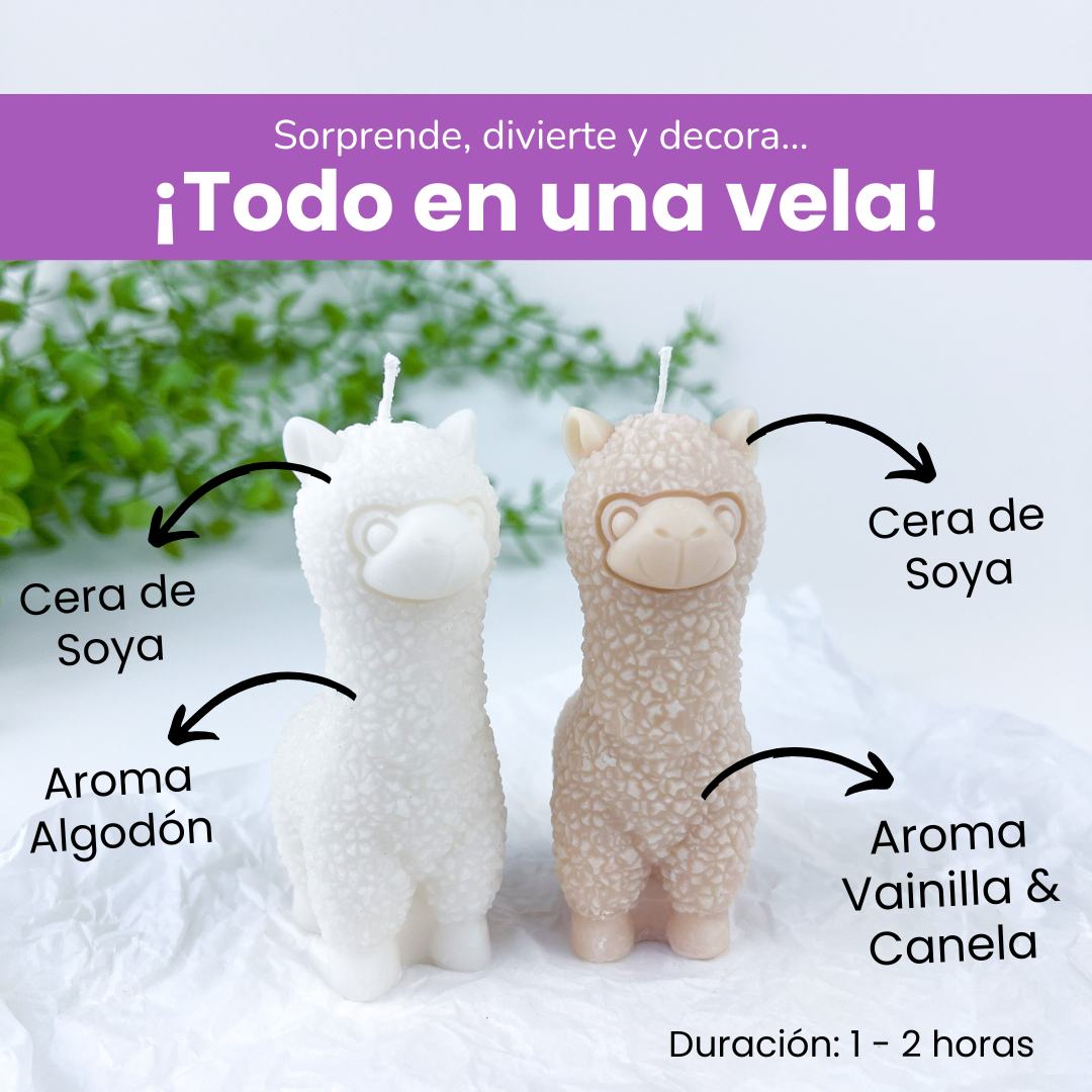 Vela Alpaca