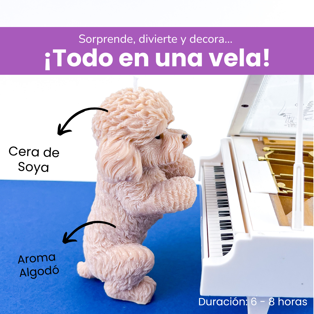 Vela Poodle Parado