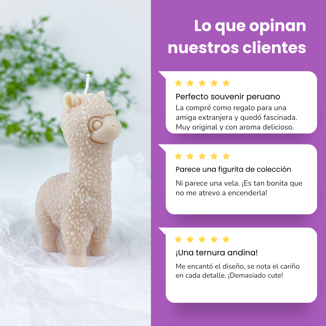 Vela Alpaca