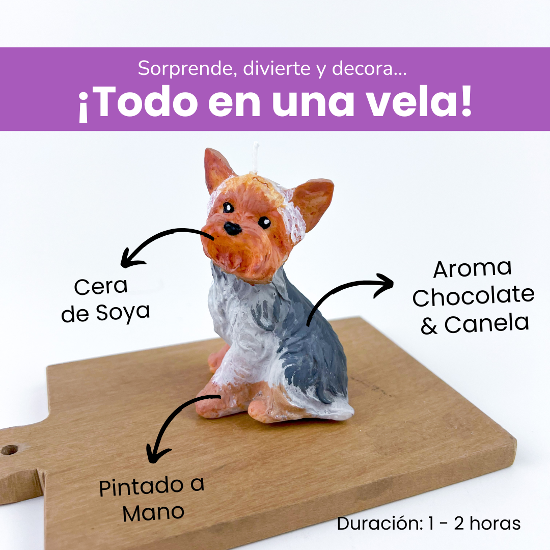 Vela Yorkie