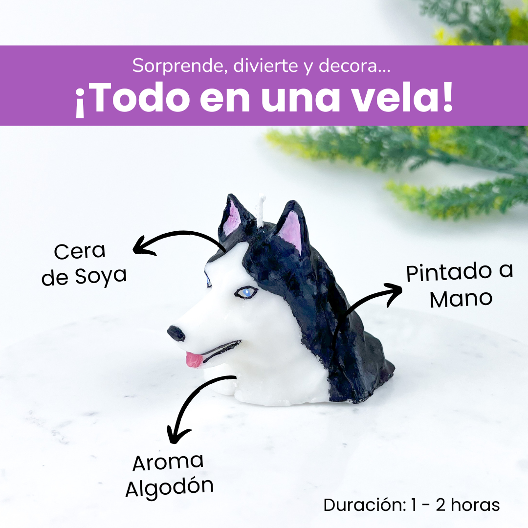 Vela Husky
