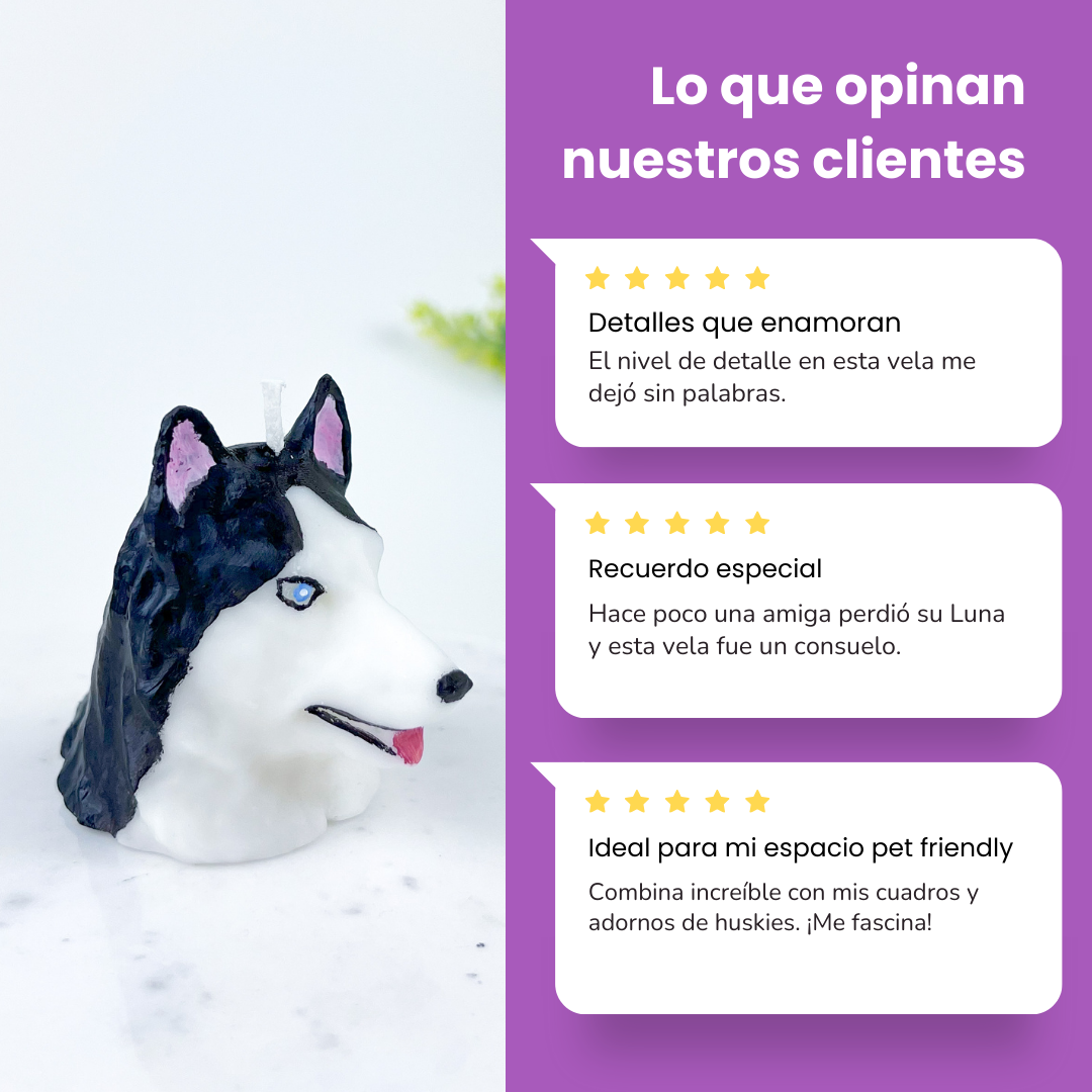 Vela Husky