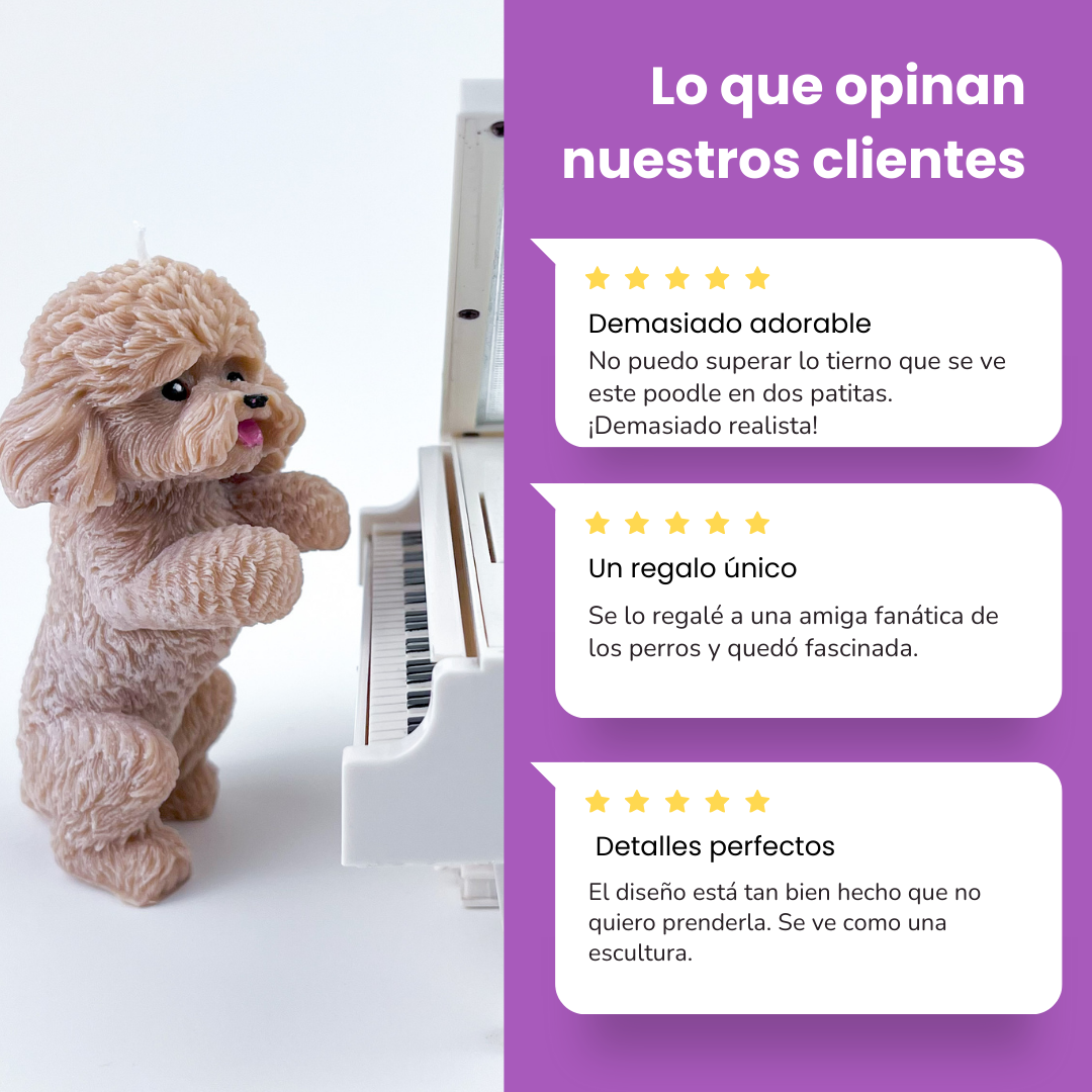Vela Poodle Parado