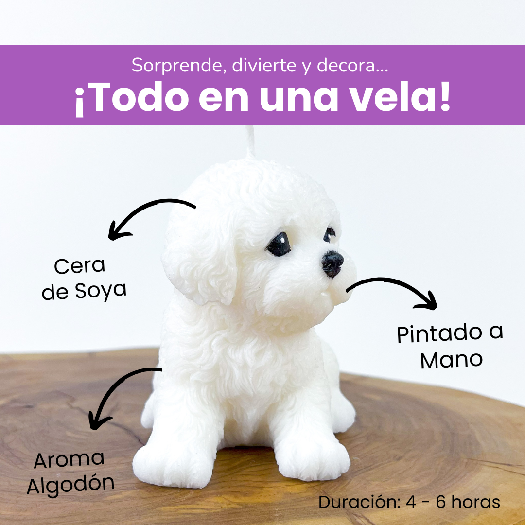 Vela Bichón Gr.