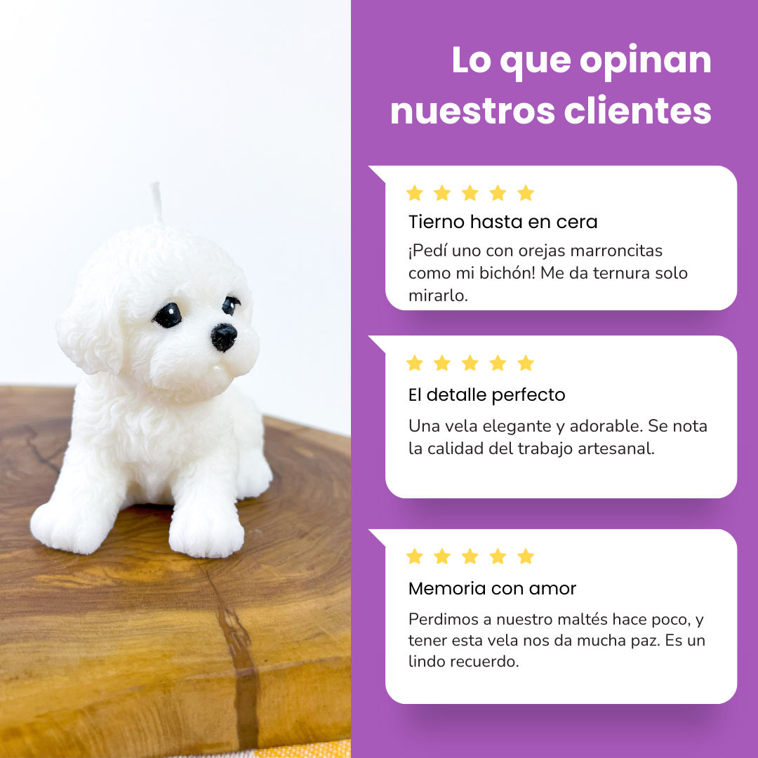 Vela Bichón Gr.