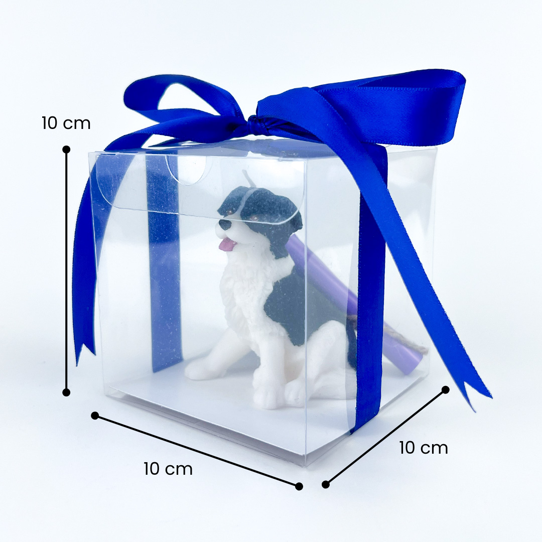 Vela Border Collie