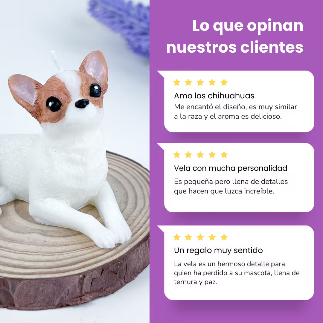 Vela Chihuahua