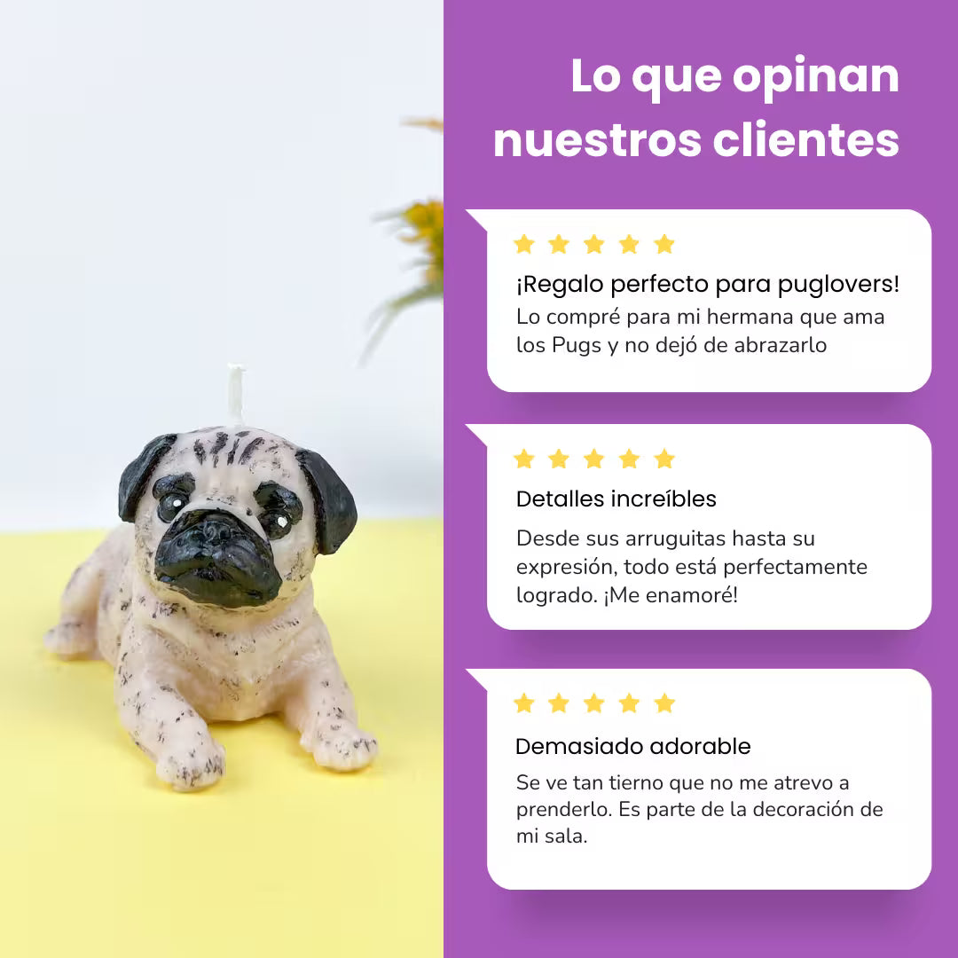 Vela Pug