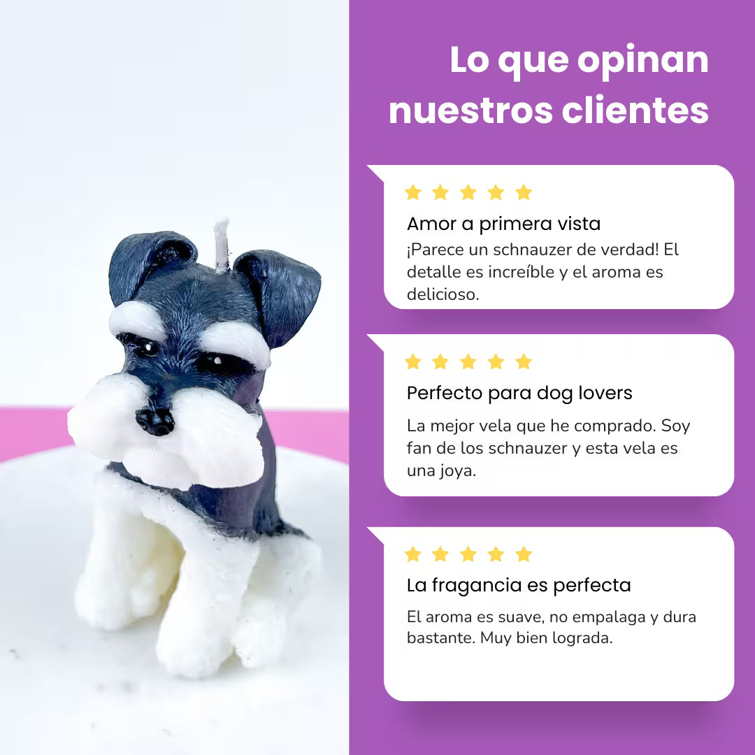 Vela Schnauzer