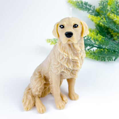 Vela Golden Retriever