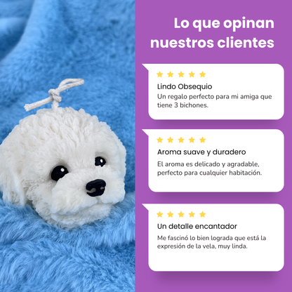 Vela Bichón Maltés