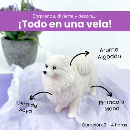Vela Pomerania 2
