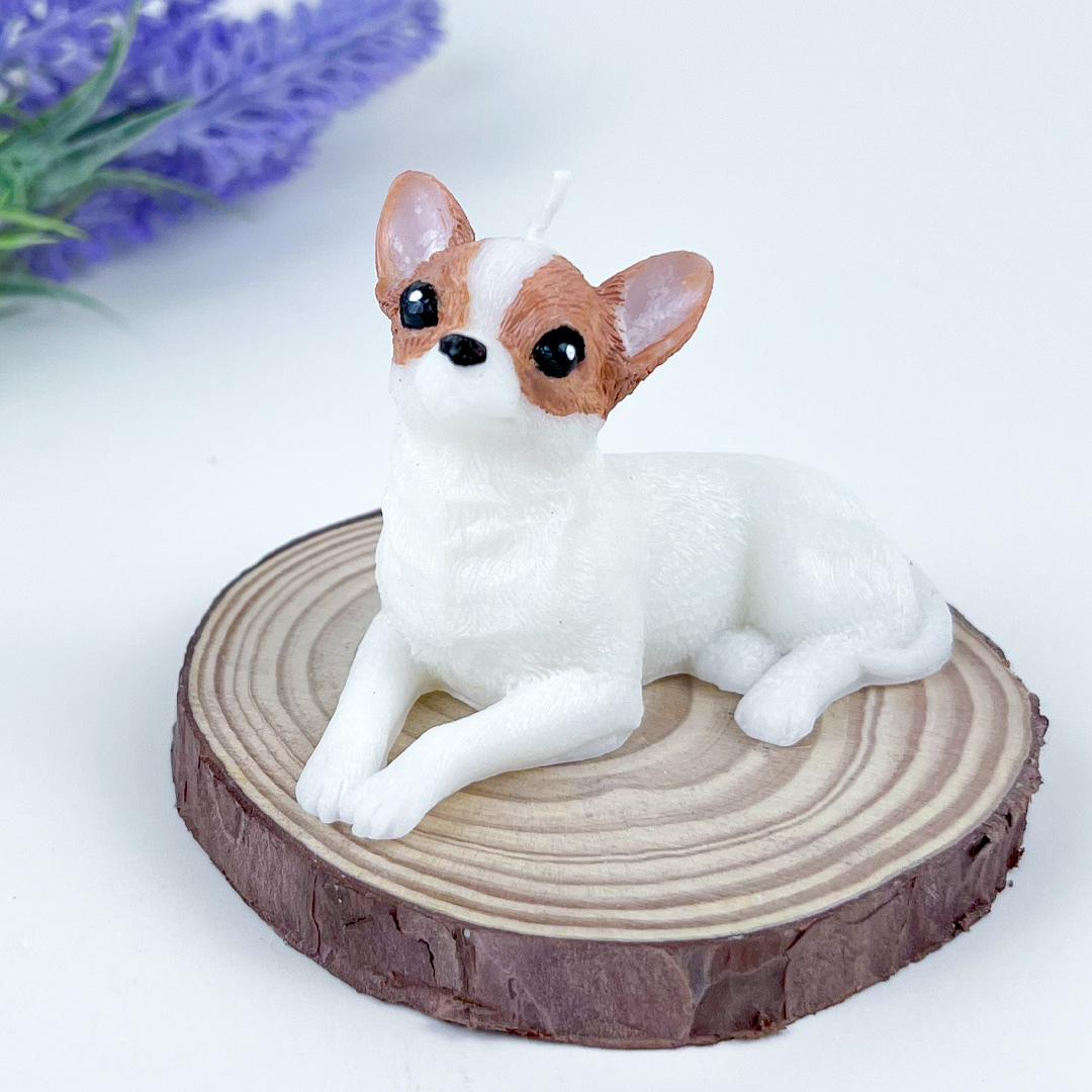 Vela Chihuahua