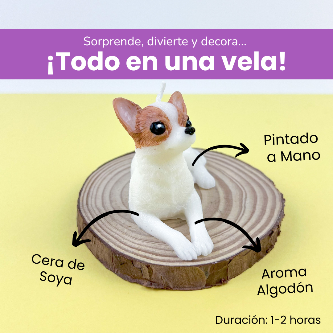 Vela Chihuahua
