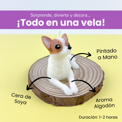 Vela Chihuahua