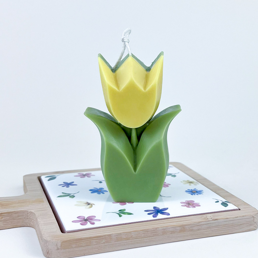 Vela Tulipán