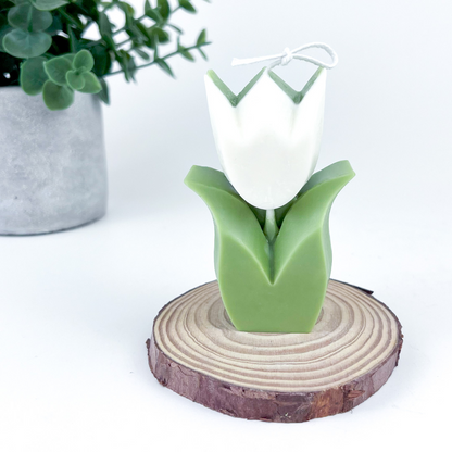 Vela Tulipán