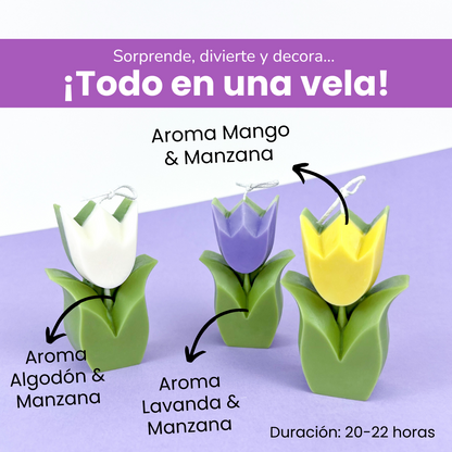 Vela Tulipán