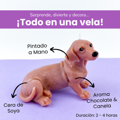 Vela Dachshund