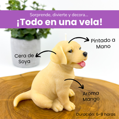 Vela Labrador Golden