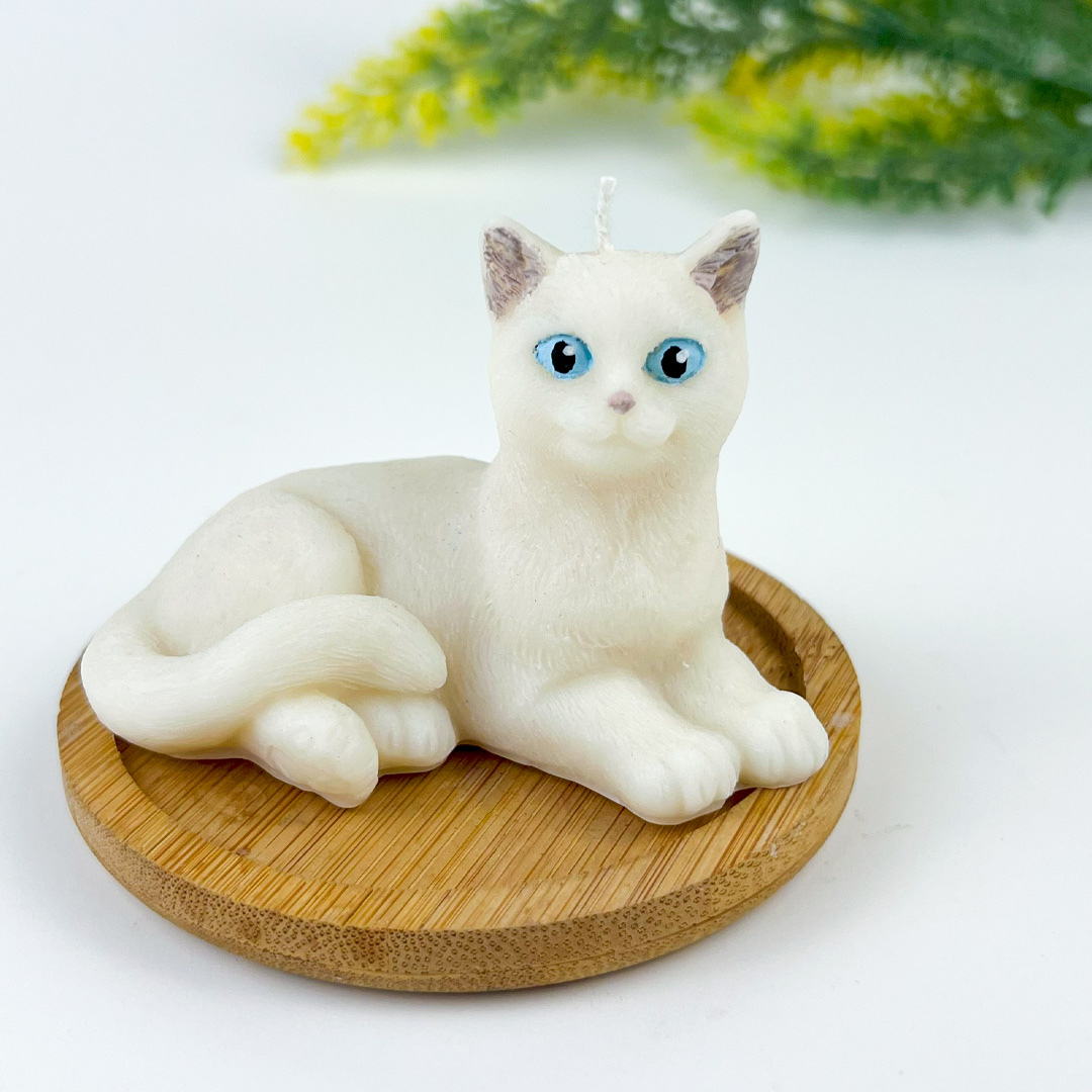 Vela Gato Acostado