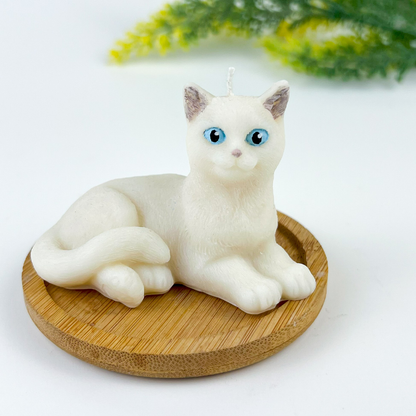 Vela Gato Acostado