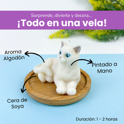 Vela Gato Acostado