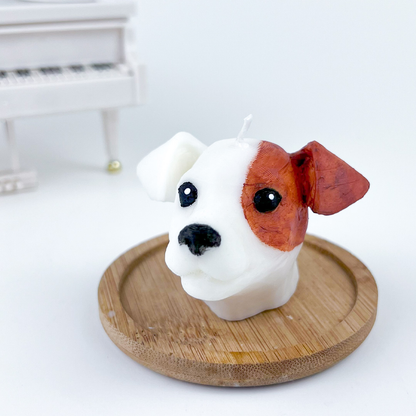 Vela Jack Russell