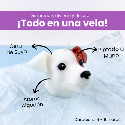 Vela Jack Russell