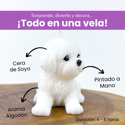 Vela Bichón Gr.