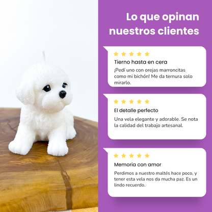Vela Bichón Gr.