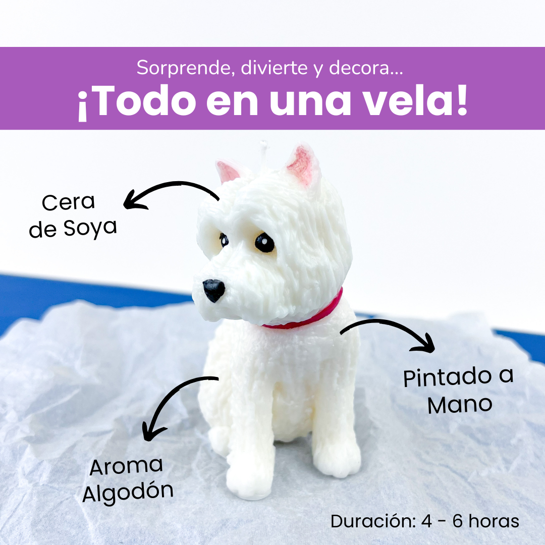Vela White Terrier
