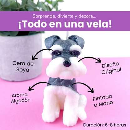Vela Schnauzer