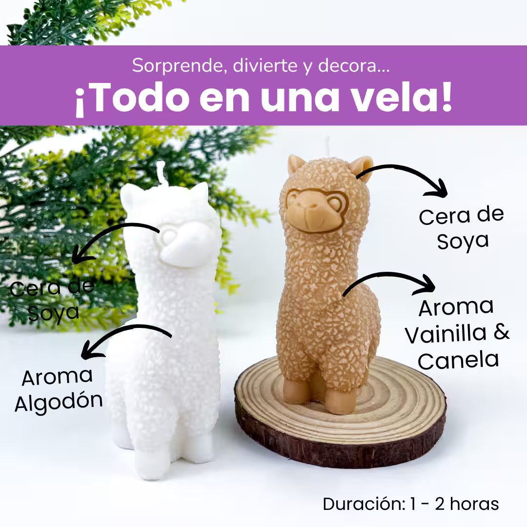 Vela Alpaca